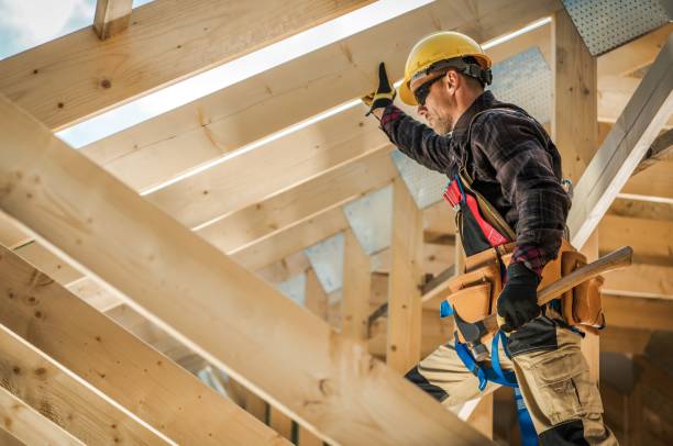 Best Roof Gutter Cleaning  in Mount Jackson, VA