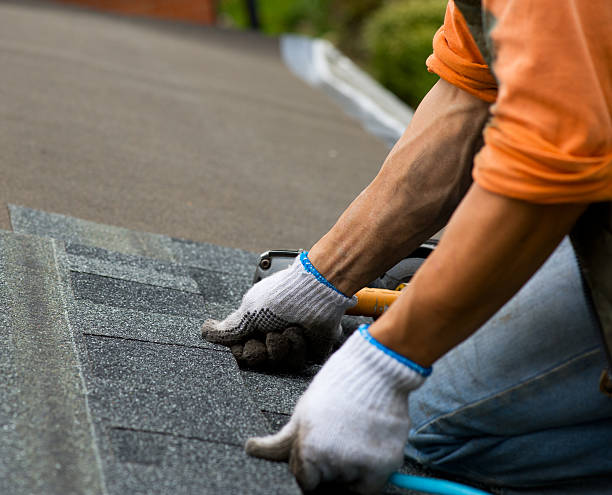 Best Shingle Roofing Installation  in Mount Jackson, VA