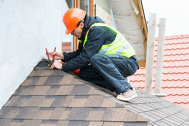 Best Storm Damage Roof Repair  in Mount Jackson, VA