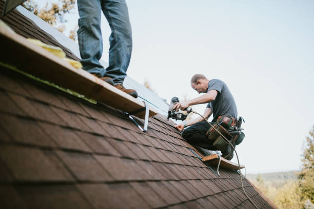 Quick and Trustworthy Emergency Roof Repair Services in Mount Jackson, VA